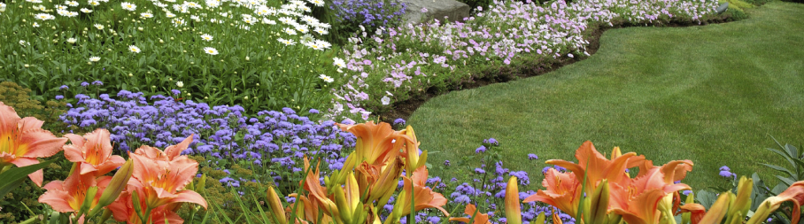 entretenir balcons, entretenir terrasses, entretenir parcs jardins privés